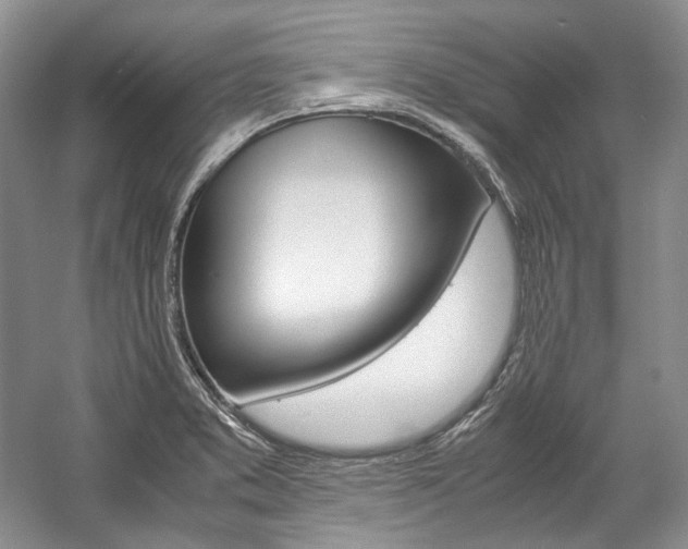 X0000057041373200509090805