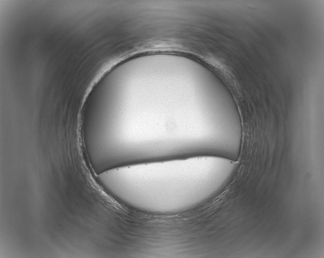 X0000057041374200509090805