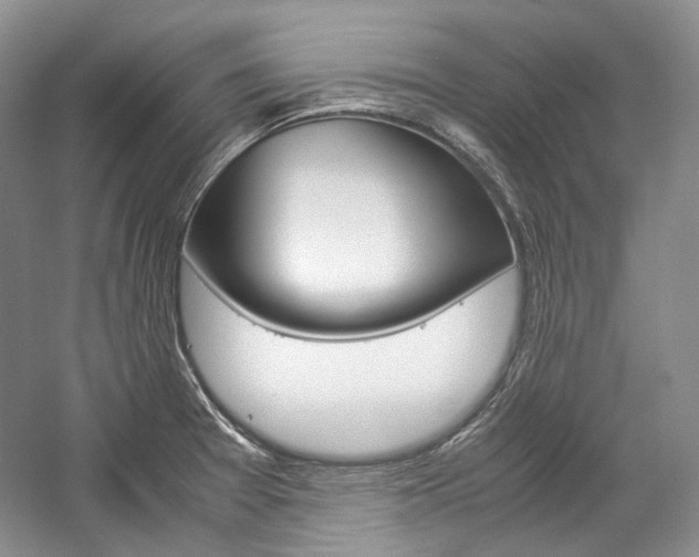 X0000057041377200509090805