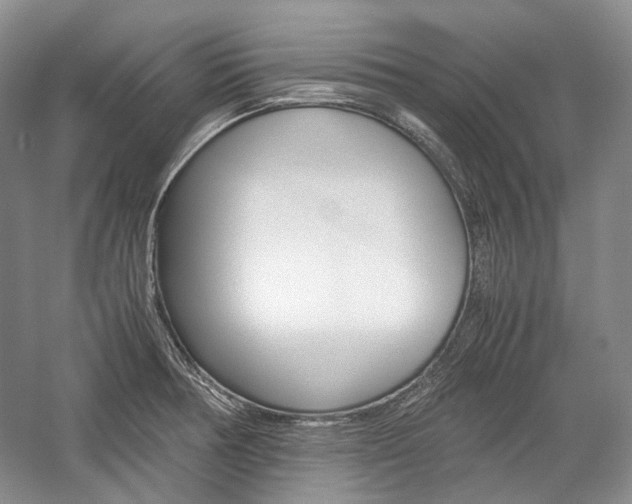 X0000057041378200509090805