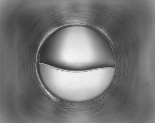 X0000057041379200509090805