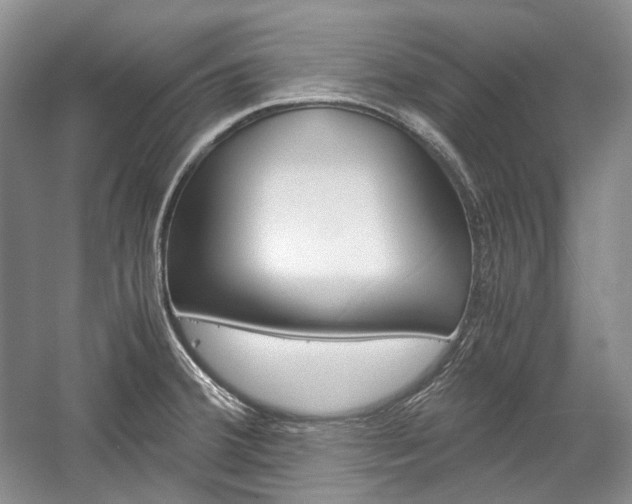 X0000057041380200509090805