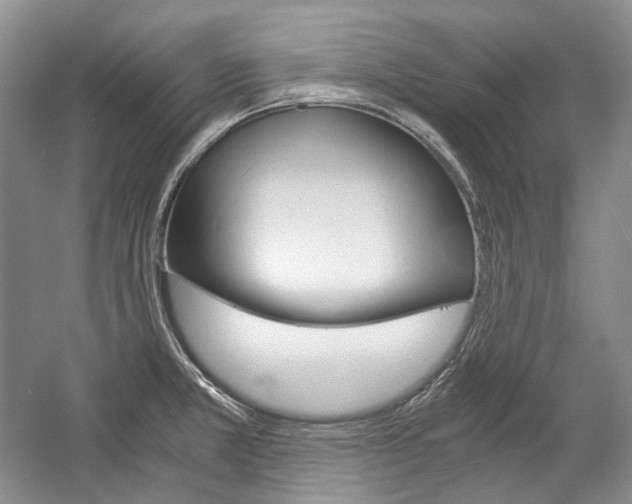 X0000057041381200509090805