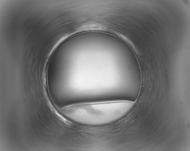 X0000057041383200509090805