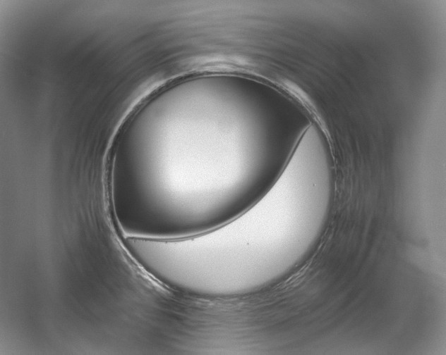 X0000057041384200509090805