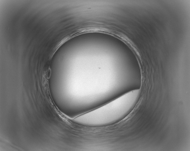 X0000057041385200509090805