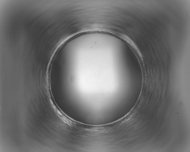 X0000057041388200509090805