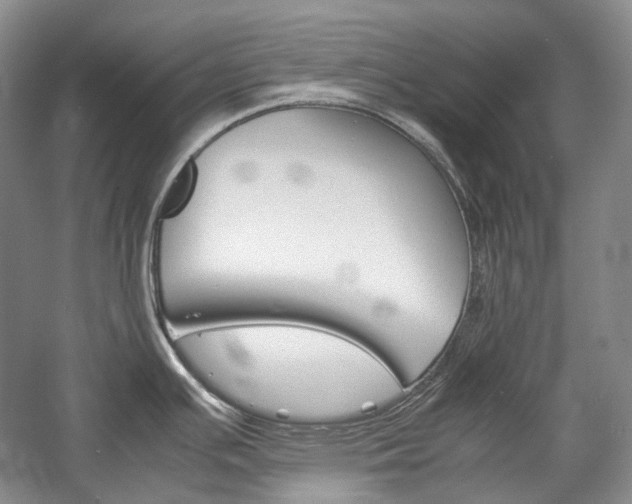 X0000057041391200509090805