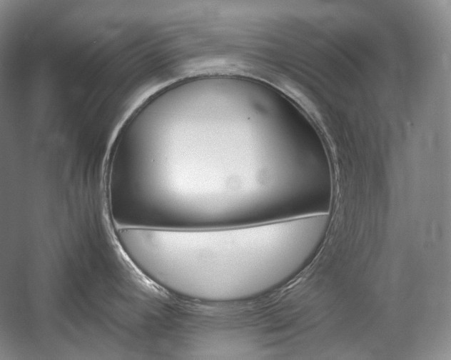 X0000057041392200509090805