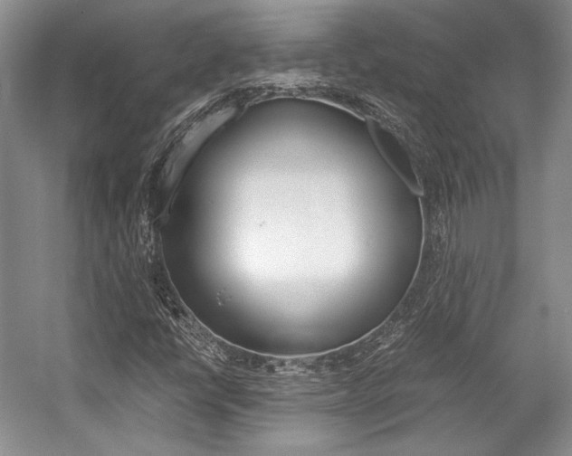 X0000057041398200509090804