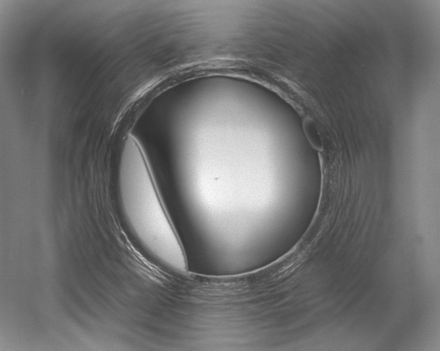 X0000057041402200509090804