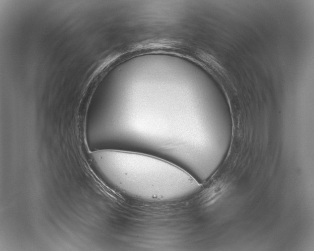X0000057041404200509090804