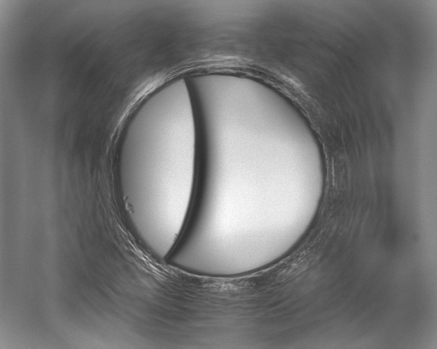 X0000057041405200509090804
