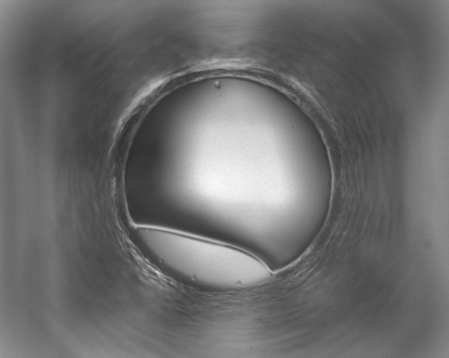 X0000057041406200509090804