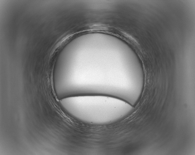 X0000057041407200509090804