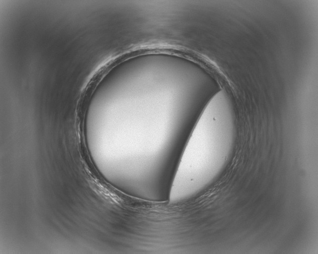 X0000057041408200509090804