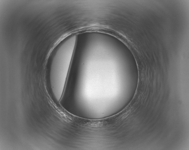X0000057041410200509090804