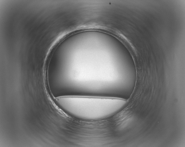 X0000057041416200509090804
