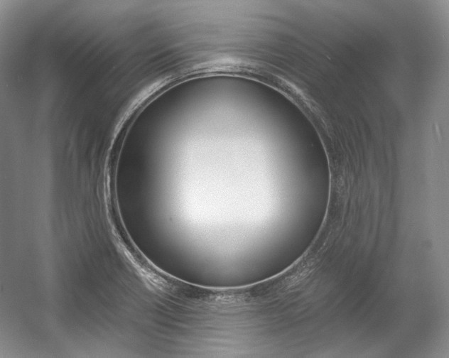 X0000057041418200509090804