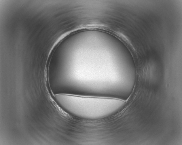 X0000057041420200509090804