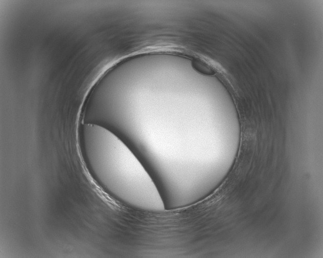 X0000057041423200509090804