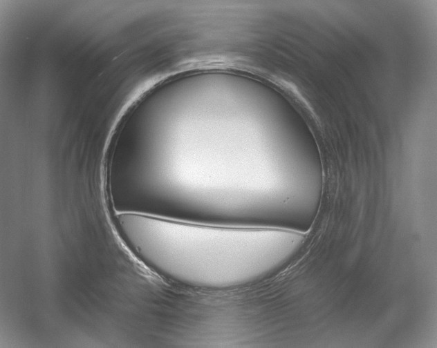 X0000057041424200509090804