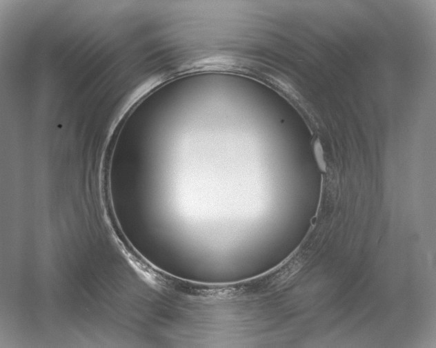 X0000057041426200509090804
