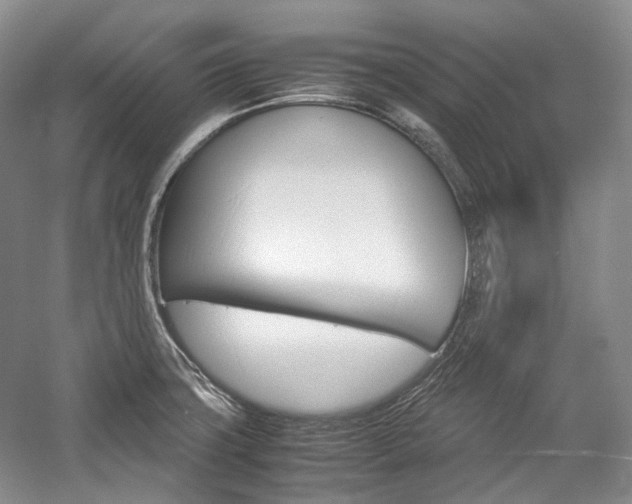 X0000057041427200509090804