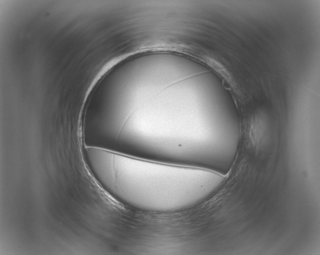 X0000057041428200509090805
