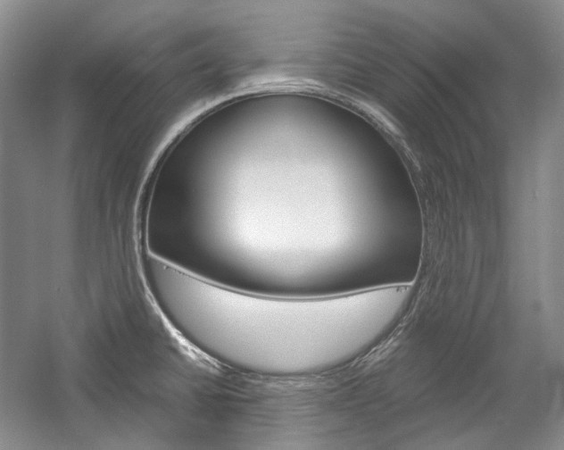 X0000057041430200509090805