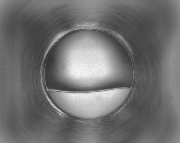 X0000057041432200509090805