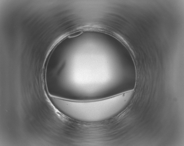 X0000057041434200509090805