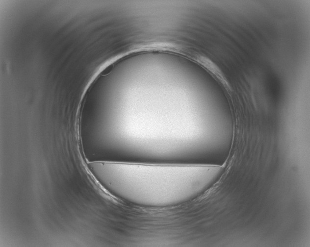 X0000057041436200509090805