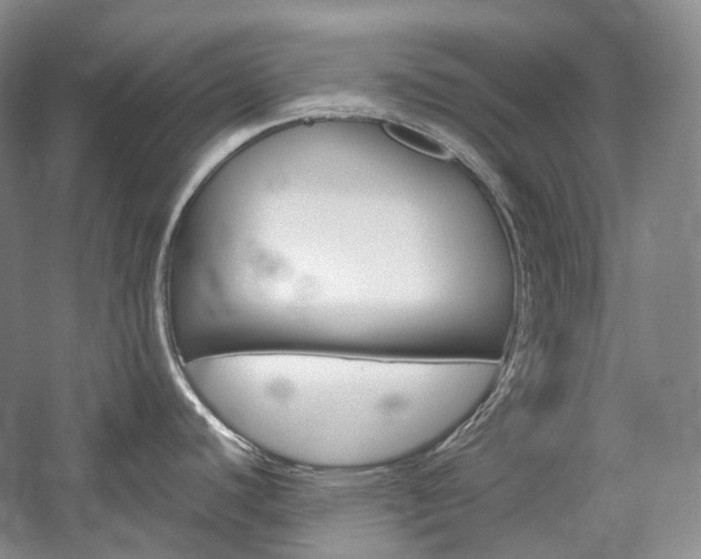 X0000057041440200509090805
