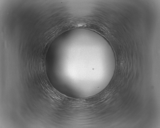 X0000057041442200509090804