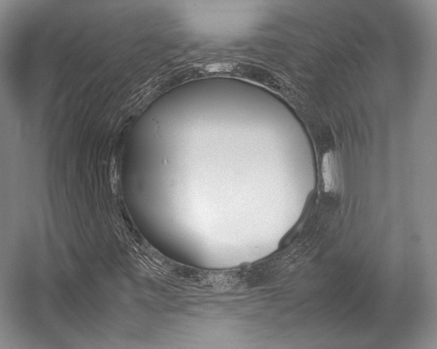 X0000057041443200509090804