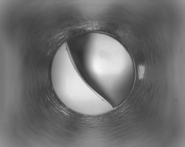 X0000057041444200509090804