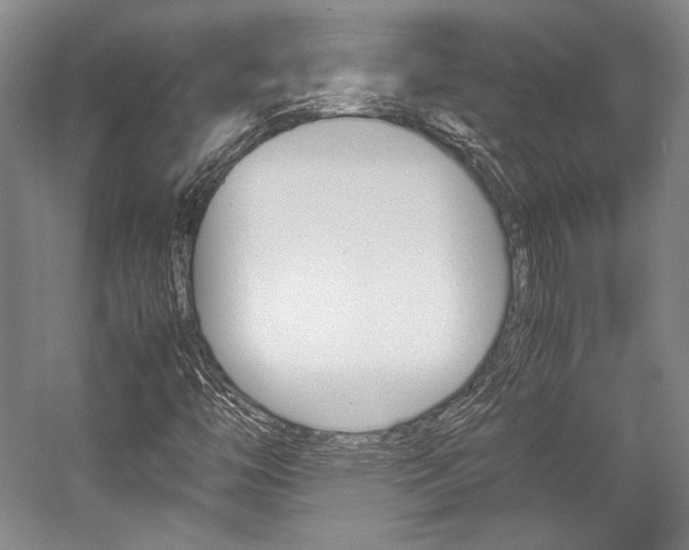 X0000057041446200509090804