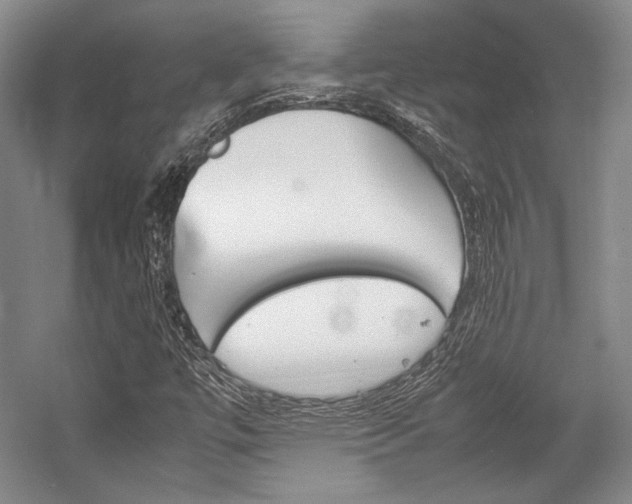 X0000057041447200509090804