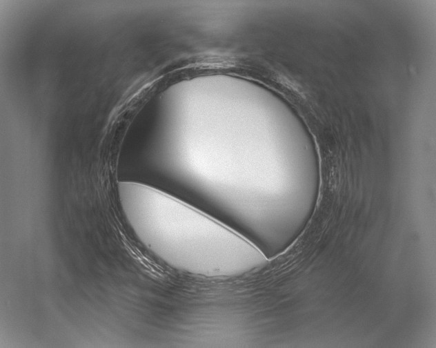 X0000057041448200509090804