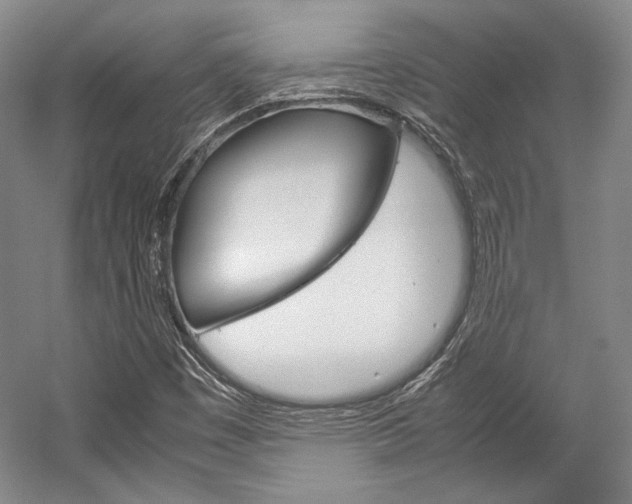 X0000057041449200509090804