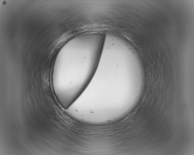 X0000057041451200509090804