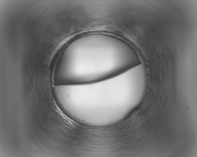 X0000057041452200509090804