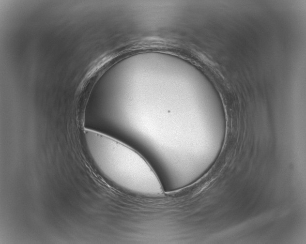 X0000057041453200509090804