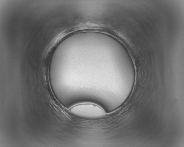 X0000057041455200509090804