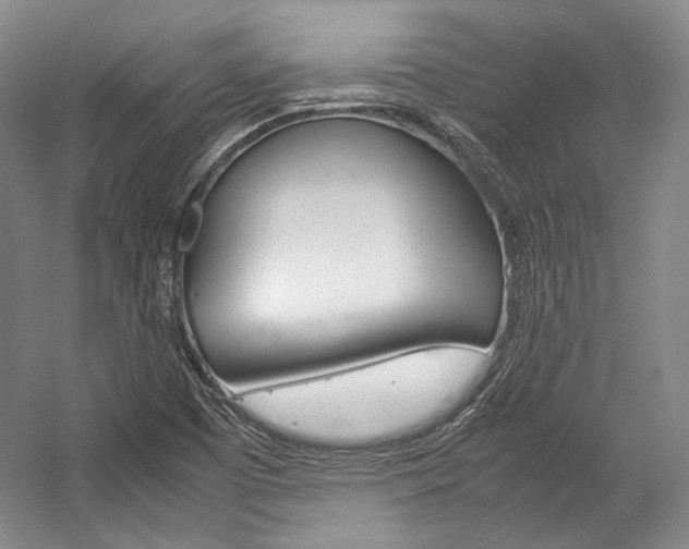 X0000057041457200509090804