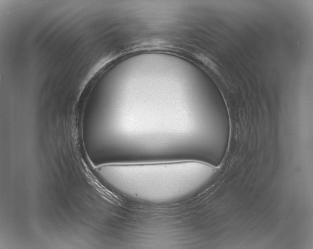 X0000057041458200509090804