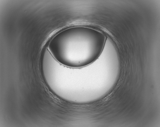 X0000057041461200509090804