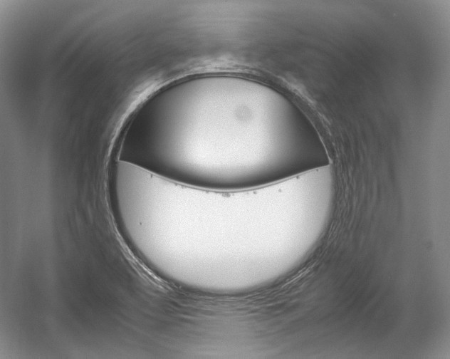 X0000057041463200509090804