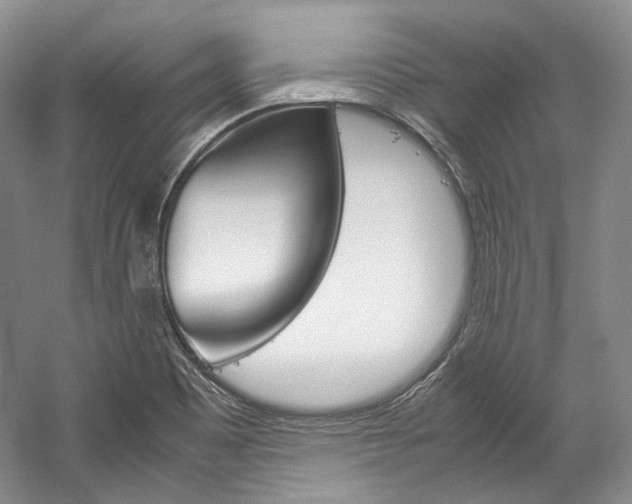 X0000057041465200509090804